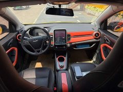 Chery Ant 150,000 Ant Fans Edition Ant Tide Version Ternary Lithium - ფოტო 6