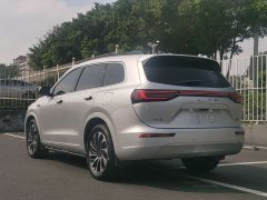 AITO M7 1.5T Intelligent Driving RWD Max 5-Seater - ფოტო 16