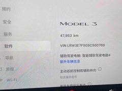 Tesla Model 3 Rear-Wheel Drive - ფოტო 10