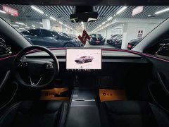 Tesla Model 3 Rear-Wheel Drive - ფოტო 8