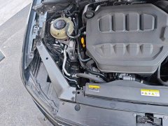 Volkswagen Magotan 2 Million Units Commemorative Edition 330TSI DSG Luxury - ფოტო 20