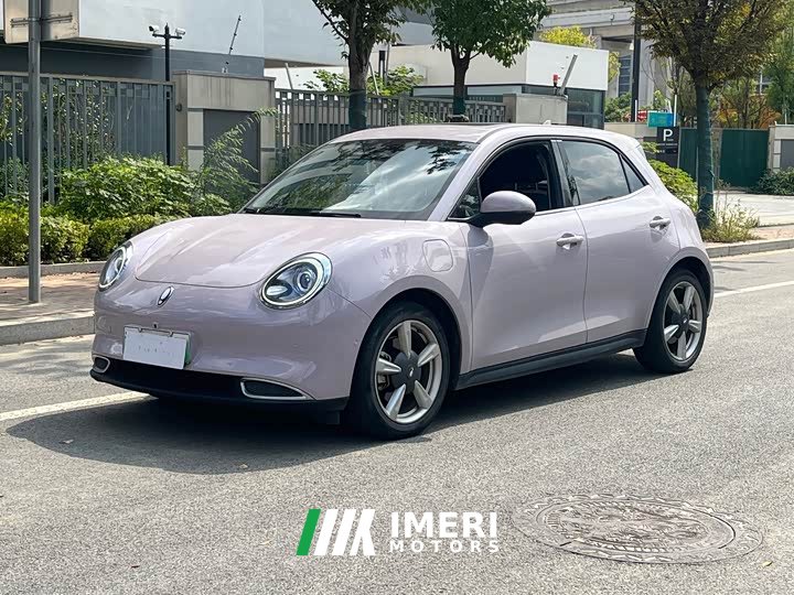 ORA Good Cat 400km Standard Range Athena Edition LFP Battery - ავტომობილი ჩინეთიდან