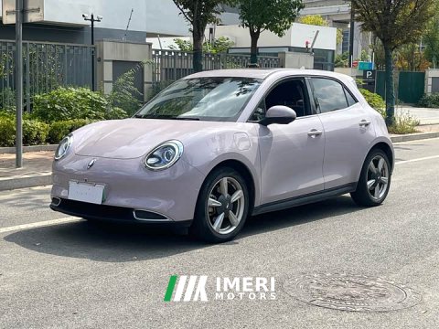 2021 ORA Good Cat 400km Standard Range Athena Edition LFP Battery - ავტომობილი ჩინეთიდან
