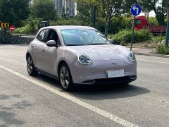 ORA Good Cat 400km Standard Range Athena Edition LFP Battery - ფოტო 3