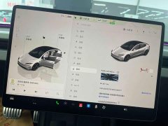 Tesla Model 3 High Performance All-Wheel Drive - ფოტო 10