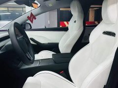 Tesla Model 3 High Performance All-Wheel Drive - ფოტო 7