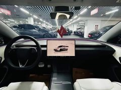 Tesla Model 3 High Performance All-Wheel Drive - ფოტო 8