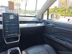 Neta V 2022 Trend 300 Lite Ternary Lithium - ფოტო 13