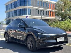 Tesla Model Y Rear-Wheel Drive - ფოტო 3