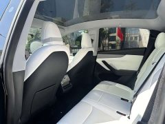 Tesla Model Y Rear-Wheel Drive - ფოტო 5