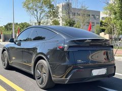 Tesla Model Y Rear-Wheel Drive - ფოტო 7