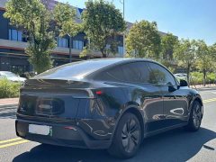 Tesla Model Y Rear-Wheel Drive - ფოტო 9