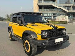 Tank 300 2.0T Frontier Limited Edition - ფოტო 3