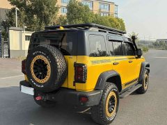 Tank 300 2.0T Frontier Limited Edition - ფოტო 7