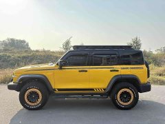 Tank 300 2.0T Frontier Limited Edition - ფოტო 8