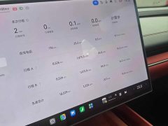 Xiaomi SU7 2024 Quad Motor Ultra-Long Range Advanced Autonomous Driving Max - ფოტო 10