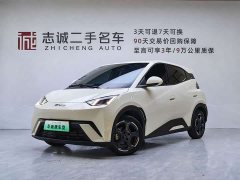 BYD Seagull Glory Edition 305km Freedom Version - ფოტო 1