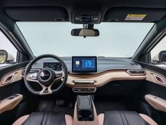 BYD Seagull Glory Edition 305km Freedom Version - ფოტო 10