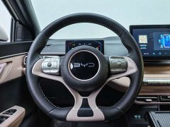 BYD Seagull Glory Edition 305km Freedom Version - ფოტო 14
