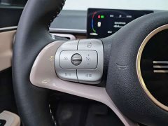 BYD Seagull Glory Edition 305km Freedom Version - ფოტო 15