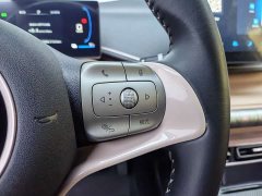 BYD Seagull Glory Edition 305km Freedom Version - ფოტო 17