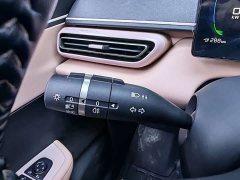 BYD Seagull Glory Edition 305km Freedom Version - ფოტო 19