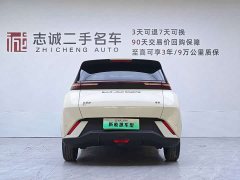 BYD Seagull Glory Edition 305km Freedom Version - ფოტო 2