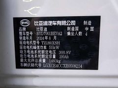 BYD Seagull Glory Edition 305km Freedom Version - ფოტო 20