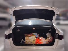 BYD Qin Plus 2021 DM-i 55KM Flagship - ფოტო 15
