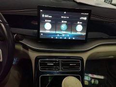 BYD Qin Plus 2021 DM-i 55KM Flagship - ფოტო 9