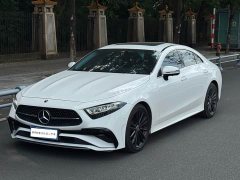 Mercedes-Benz CLS 300 Dynamic - ფოტო 1