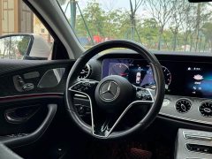 Mercedes-Benz CLS 300 Dynamic - ფოტო 10
