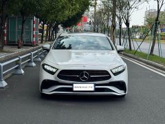 Mercedes-Benz CLS 300 Dynamic - ფოტო 2