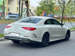 Mercedes-Benz CLS 300 Dynamic - ფოტო 4