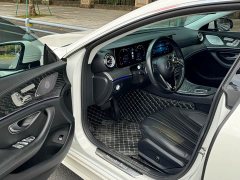 Mercedes-Benz CLS 300 Dynamic - ფოტო 6