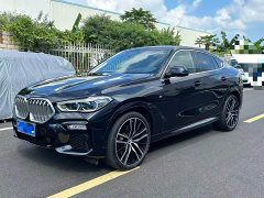 BMW X6 xDrive40i M Sport Premium Package - ფოტო 1