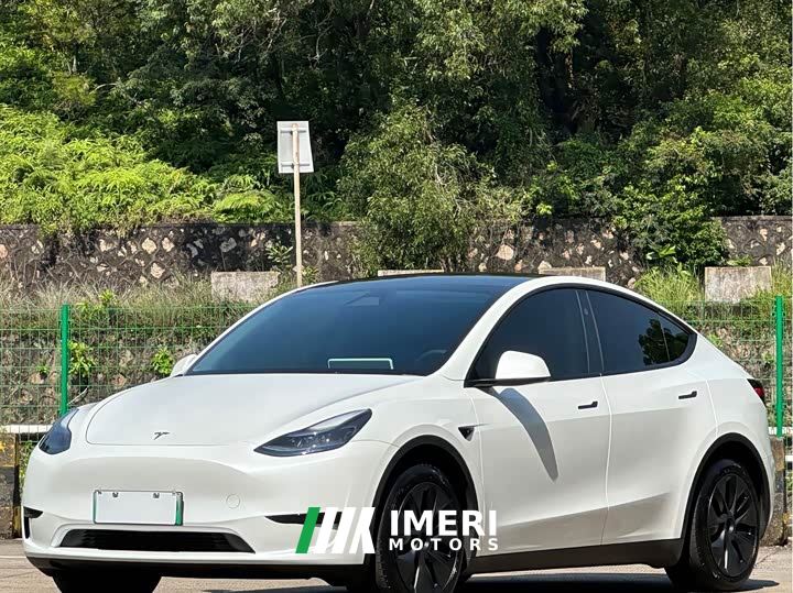 Tesla Model Y Rear-Wheel Drive
