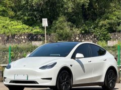 Tesla Model Y Rear-Wheel Drive - ფოტო 1