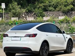 Tesla Model Y Rear-Wheel Drive - ფოტო 13
