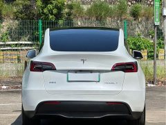 Tesla Model Y Rear-Wheel Drive - ფოტო 14
