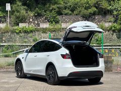 Tesla Model Y Rear-Wheel Drive - ფოტო 16