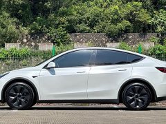 Tesla Model Y Rear-Wheel Drive - ფოტო 17