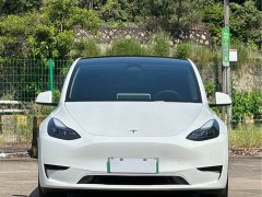 Tesla Model Y Rear-Wheel Drive - ფოტო 2