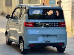 Wuling Hongguang MINIEV 2020 Zizai Edition LFP Battery - ფოტო 11