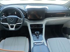 BYD Song Plus New Energy EV Premium - ფოტო 6