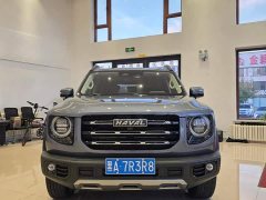 Great Wall Dachshund 2.0T DCT Four-Wheel Drive Howling Celestial Dog Edition - ფოტო 2