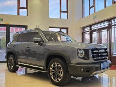 Great Wall Dachshund 2.0T DCT Four-Wheel Drive Howling Celestial Dog Edition - ფოტო 3