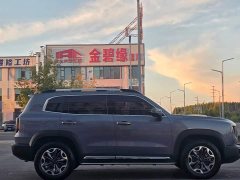 Great Wall Dachshund 2.0T DCT Four-Wheel Drive Howling Celestial Dog Edition - ფოტო 7
