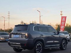 Great Wall Dachshund 2.0T DCT Four-Wheel Drive Howling Celestial Dog Edition - ფოტო 8