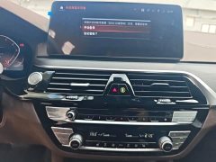 BMW 5 Series Facelift 530Li Premier M Sport Package - ფოტო 9